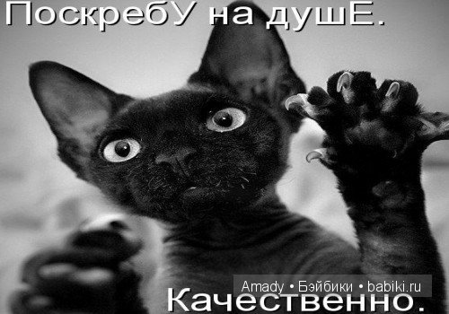 Позитив. Самые добрые и забавные фотографии для поднятия настроения | Бэйбики Позитив. Самые добрые и забавные фотографии для поднятия настроения