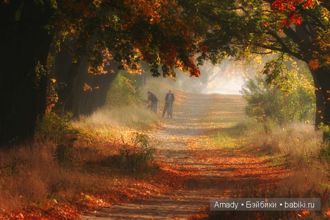 Позитив. Самые добрые и забавные фотографии для поднятия настроения | Бэйбики Позитив. Самые добрые и забавные фотографии для поднятия настроения
