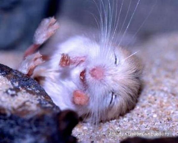 Позитив. Самые добрые и забавные фотографии для поднятия настроения | Бэйбики Позитив. Самые добрые и забавные фотографии для поднятия настроения