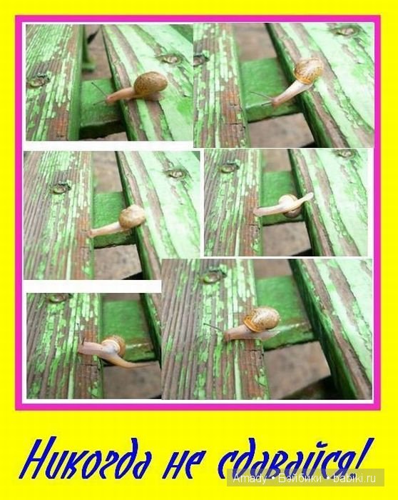 Позитив. Самые добрые и забавные фотографии для поднятия настроения | Бэйбики Позитив. Самые добрые и забавные фотографии для поднятия настроения