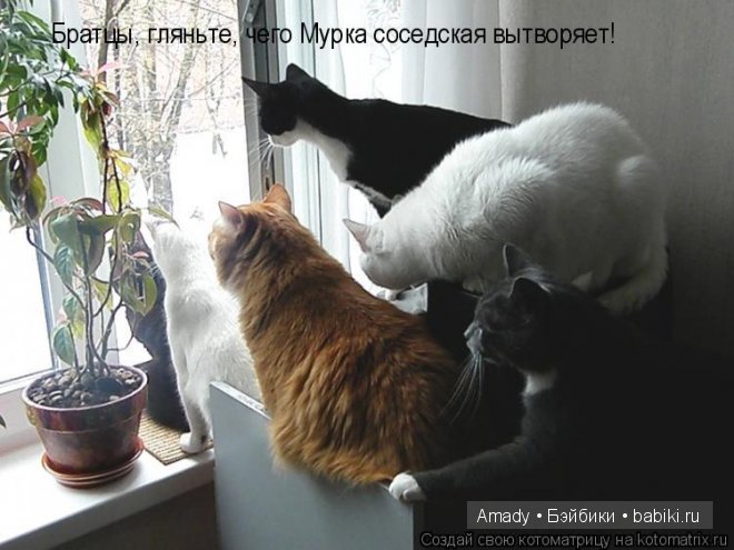 Позитив. Самые добрые и забавные фотографии для поднятия настроения | Бэйбики Позитив. Самые добрые и забавные фотографии для поднятия настроения