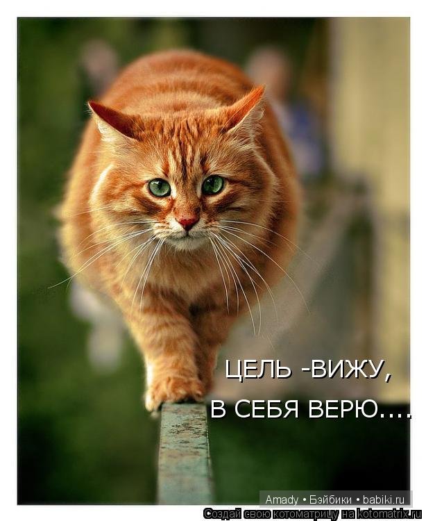 Позитив. Самые добрые и забавные фотографии для поднятия настроения | Бэйбики Позитив. Самые добрые и забавные фотографии для поднятия настроения