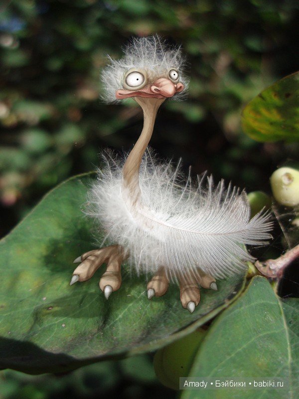 Позитив. Самые добрые и забавные фотографии для поднятия настроения | Бэйбики Позитив. Самые добрые и забавные фотографии для поднятия настроения