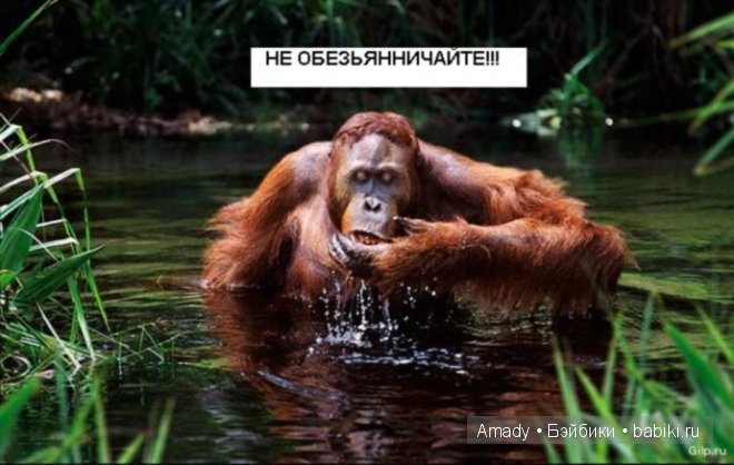 Позитив. Самые добрые и забавные фотографии для поднятия настроения | Бэйбики Позитив. Самые добрые и забавные фотографии для поднятия настроения