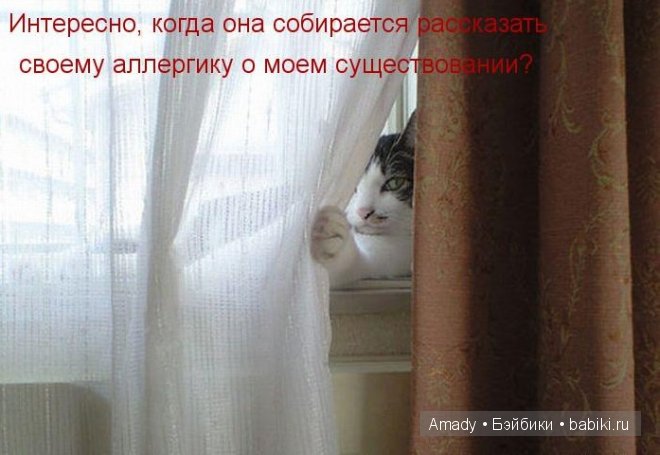 Позитив. Самые добрые и забавные фотографии для поднятия настроения | Бэйбики Позитив. Самые добрые и забавные фотографии для поднятия настроения