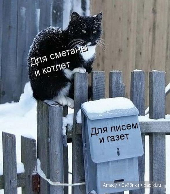 Позитив. Самые добрые и забавные фотографии для поднятия настроения | Бэйбики Позитив. Самые добрые и забавные фотографии для поднятия настроения