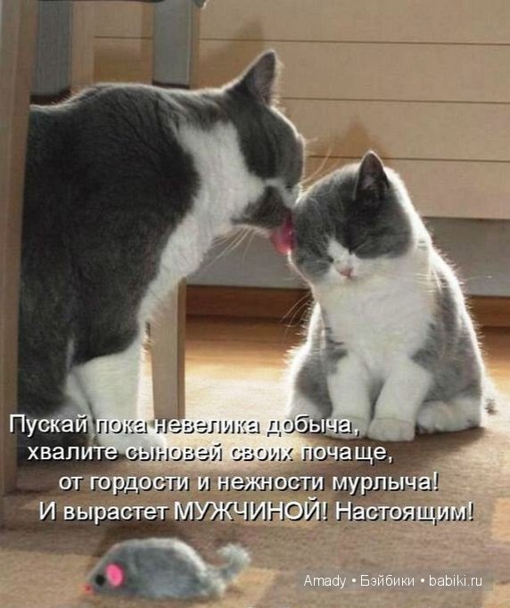 Позитив. Самые добрые и забавные фотографии для поднятия настроения | Бэйбики Позитив. Самые добрые и забавные фотографии для поднятия настроения