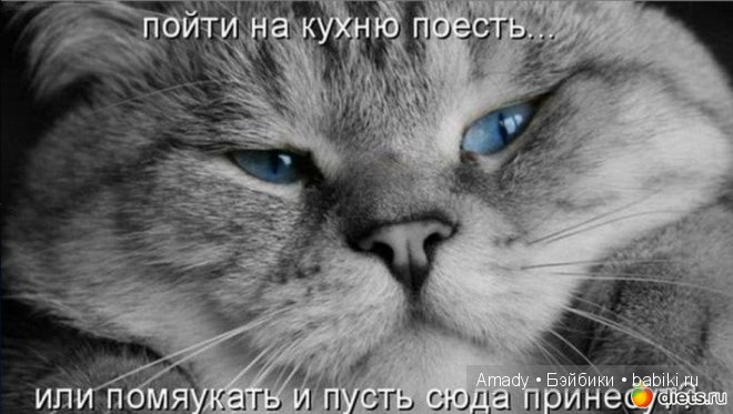 Позитив. Самые добрые и забавные фотографии для поднятия настроения | Бэйбики Позитив. Самые добрые и забавные фотографии для поднятия настроения