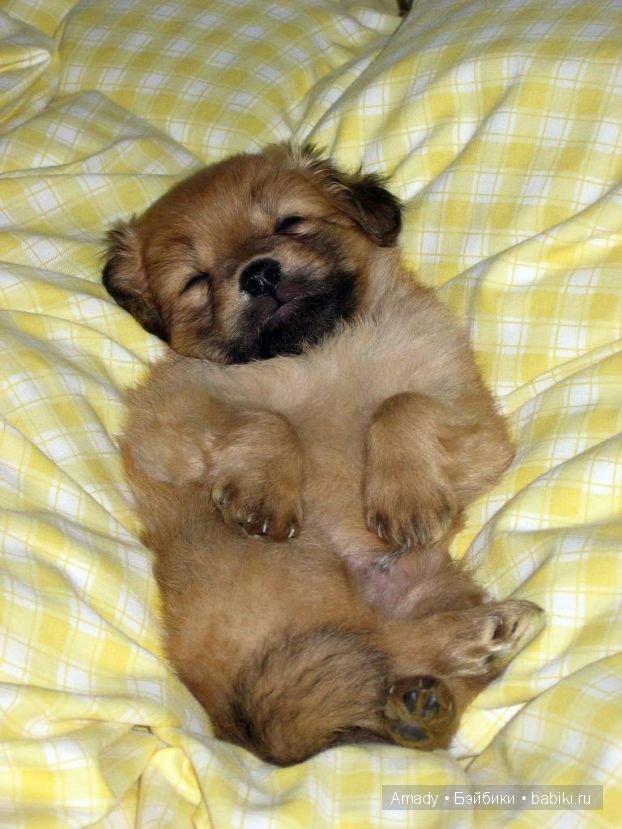 Позитив. Самые добрые и забавные фотографии для поднятия настроения | Бэйбики Позитив. Самые добрые и забавные фотографии для поднятия настроения