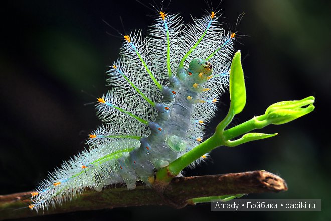Позитив. Самые добрые и забавные фотографии для поднятия настроения | Бэйбики Позитив. Самые добрые и забавные фотографии для поднятия настроения