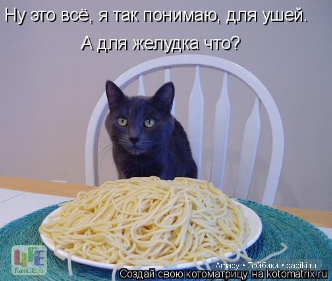 Позитив. Самые добрые и забавные фотографии для поднятия настроения | Бэйбики Позитив. Самые добрые и забавные фотографии для поднятия настроения