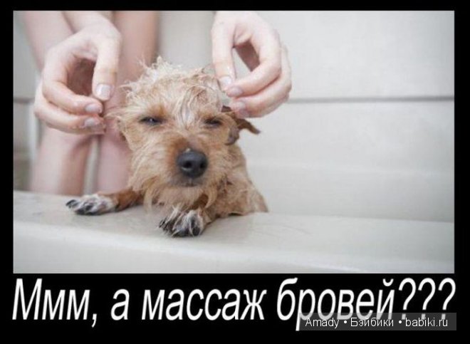 Позитив. Самые добрые и забавные фотографии для поднятия настроения | Бэйбики Позитив. Самые добрые и забавные фотографии для поднятия настроения