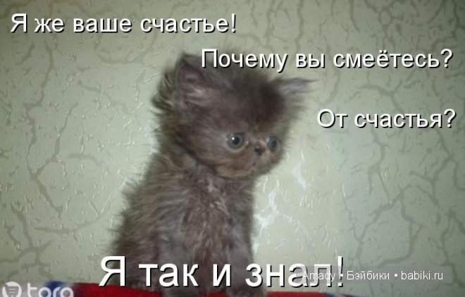 Позитив. Самые добрые и забавные фотографии для поднятия настроения | Бэйбики Позитив. Самые добрые и забавные фотографии для поднятия настроения