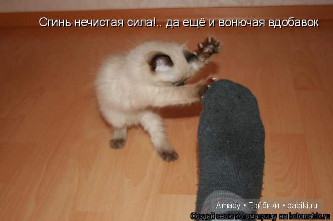 Позитив. Самые добрые и забавные фотографии для поднятия настроения | Бэйбики Позитив. Самые добрые и забавные фотографии для поднятия настроения