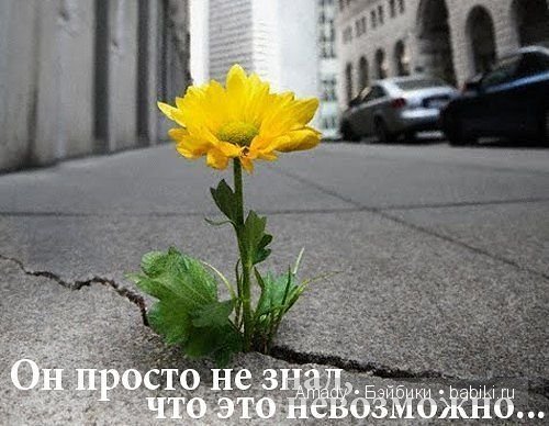 Позитив. Самые добрые и забавные фотографии для поднятия настроения | Бэйбики Позитив. Самые добрые и забавные фотографии для поднятия настроения