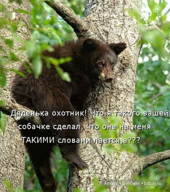 Позитив. Самые добрые и забавные фотографии для поднятия настроения | Бэйбики Позитив. Самые добрые и забавные фотографии для поднятия настроения