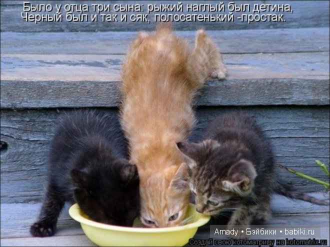 Позитив. Самые добрые и забавные фотографии для поднятия настроения | Бэйбики Позитив. Самые добрые и забавные фотографии для поднятия настроения