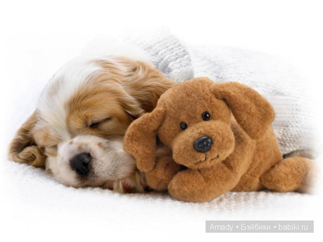 Позитив. Самые добрые и забавные фотографии для поднятия настроения | Бэйбики Позитив. Самые добрые и забавные фотографии для поднятия настроения