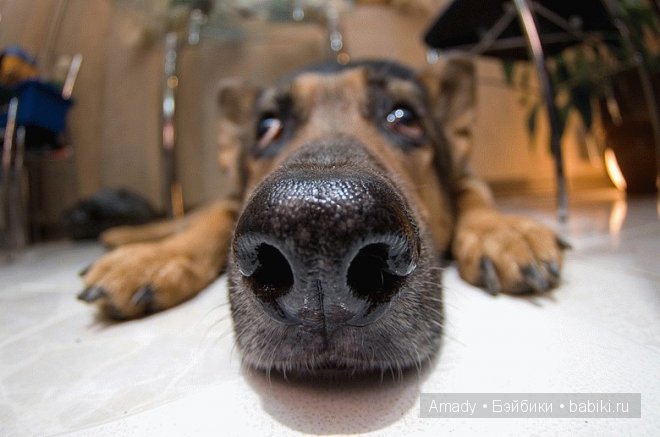 Позитив. Самые добрые и забавные фотографии для поднятия настроения | Бэйбики Позитив. Самые добрые и забавные фотографии для поднятия настроения
