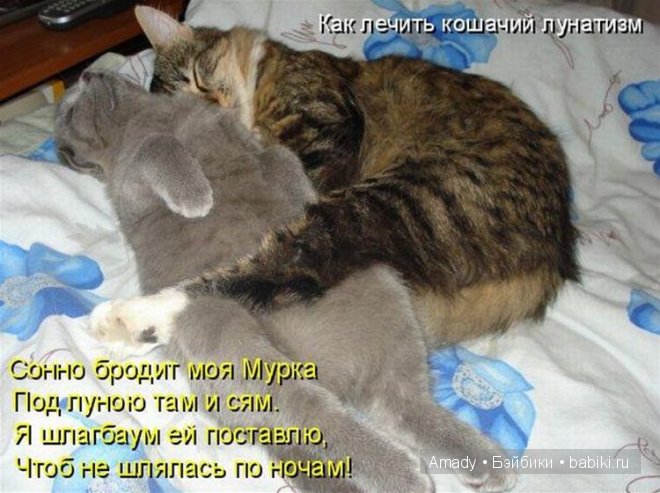 Позитив. Самые добрые и забавные фотографии для поднятия настроения | Бэйбики Позитив. Самые добрые и забавные фотографии для поднятия настроения