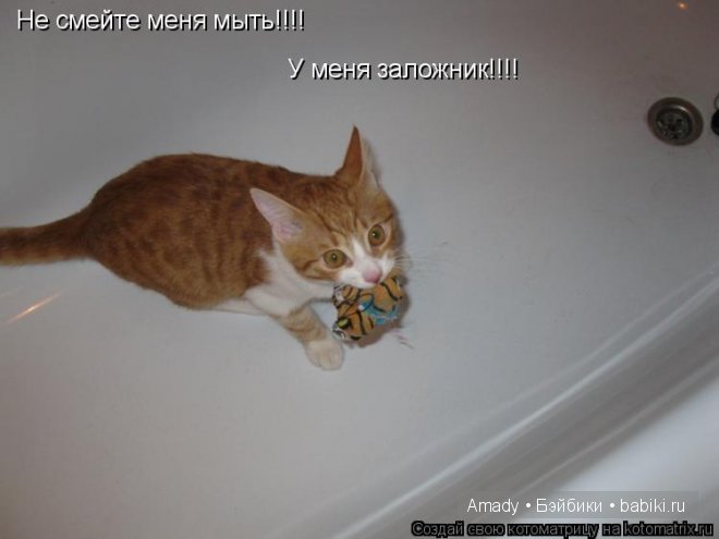 Позитив. Самые добрые и забавные фотографии для поднятия настроения | Бэйбики Позитив. Самые добрые и забавные фотографии для поднятия настроения