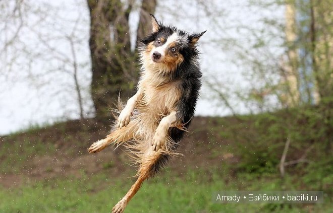 Позитив. Самые добрые и забавные фотографии для поднятия настроения | Бэйбики Позитив. Самые добрые и забавные фотографии для поднятия настроения
