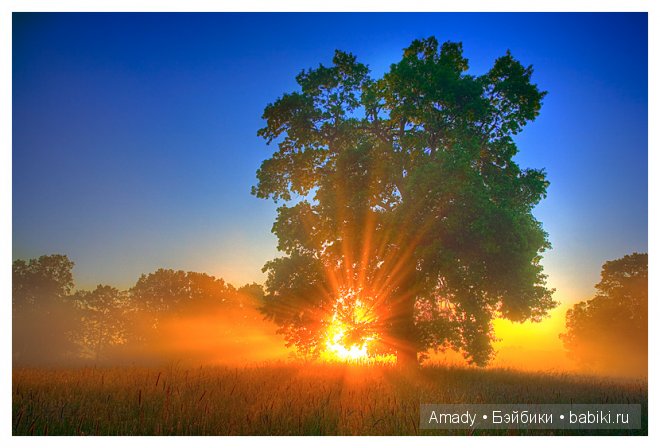 Позитив. Самые добрые и забавные фотографии для поднятия настроения | Бэйбики Позитив. Самые добрые и забавные фотографии для поднятия настроения