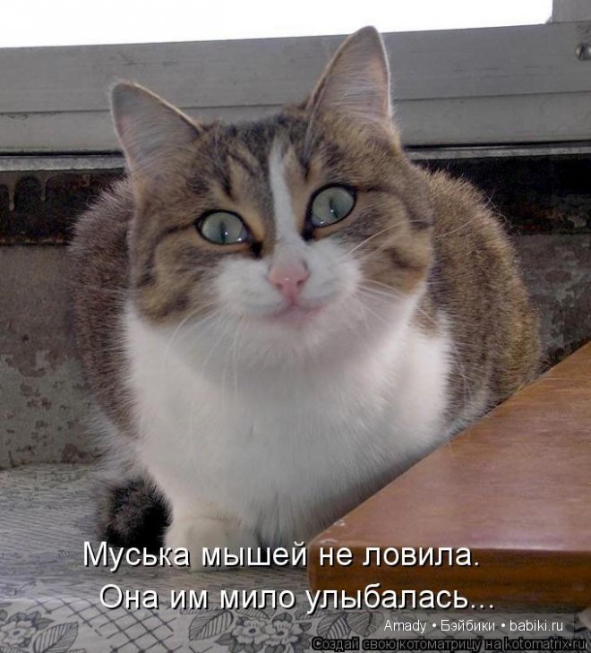 Позитив. Самые добрые и забавные фотографии для поднятия настроения | Бэйбики Позитив. Самые добрые и забавные фотографии для поднятия настроения