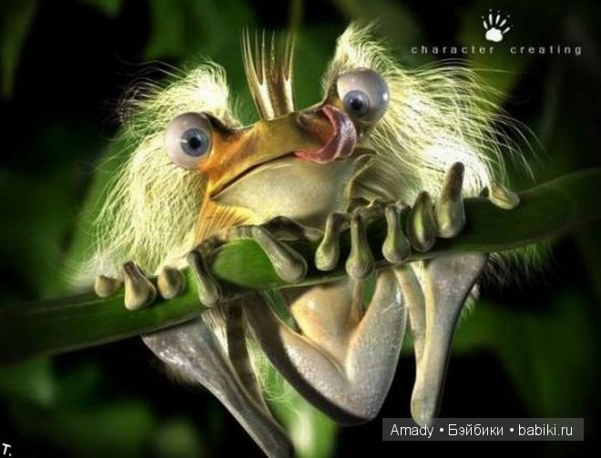 Позитив. Самые добрые и забавные фотографии для поднятия настроения | Бэйбики Позитив. Самые добрые и забавные фотографии для поднятия настроения