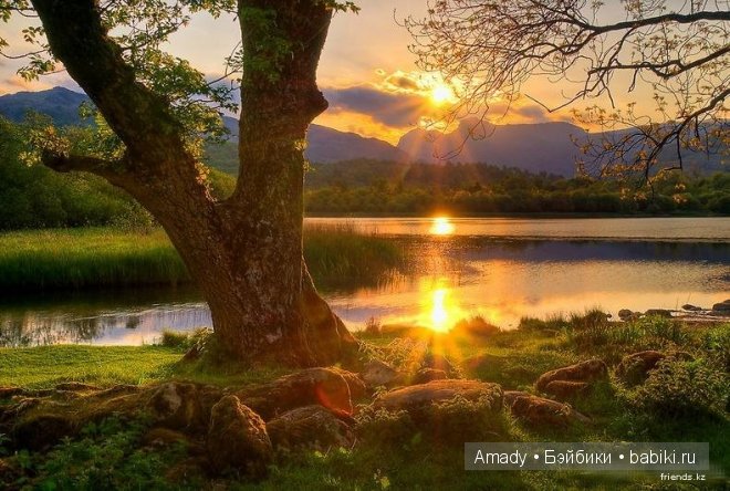 Позитив. Самые добрые и забавные фотографии для поднятия настроения | Бэйбики Позитив. Самые добрые и забавные фотографии для поднятия настроения