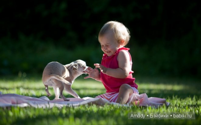 Позитив. Самые добрые и забавные фотографии для поднятия настроения | Бэйбики Позитив. Самые добрые и забавные фотографии для поднятия настроения