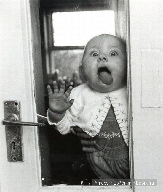 Позитив. Самые добрые и забавные фотографии для поднятия настроения | Бэйбики Позитив. Самые добрые и забавные фотографии для поднятия настроения