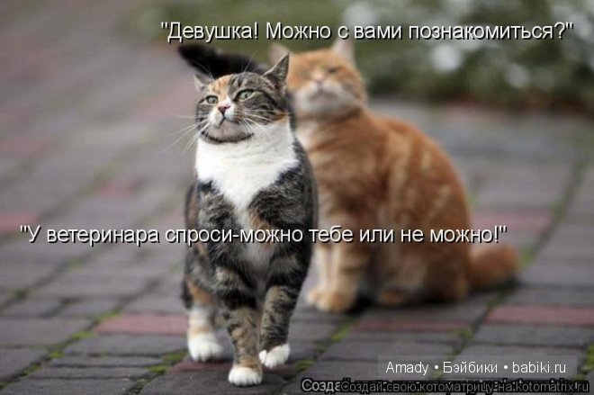 Позитив. Самые добрые и забавные фотографии для поднятия настроения | Бэйбики Позитив. Самые добрые и забавные фотографии для поднятия настроения