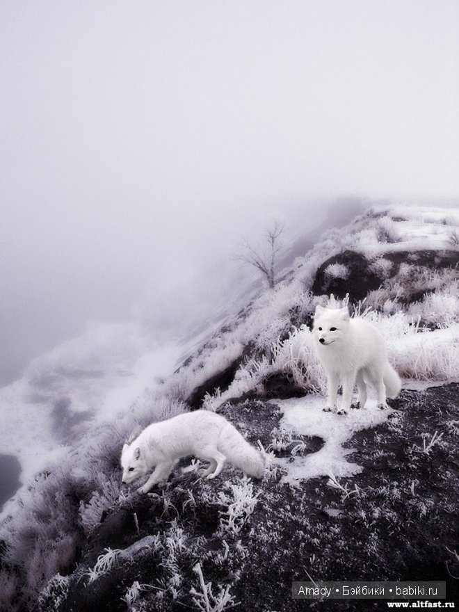 Позитив. Самые добрые и забавные фотографии для поднятия настроения | Бэйбики Позитив. Самые добрые и забавные фотографии для поднятия настроения