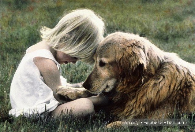 Позитив. Самые добрые и забавные фотографии для поднятия настроения | Бэйбики Позитив. Самые добрые и забавные фотографии для поднятия настроения