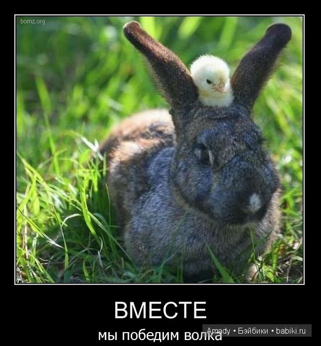 Позитив. Самые добрые и забавные фотографии для поднятия настроения | Бэйбики Позитив. Самые добрые и забавные фотографии для поднятия настроения