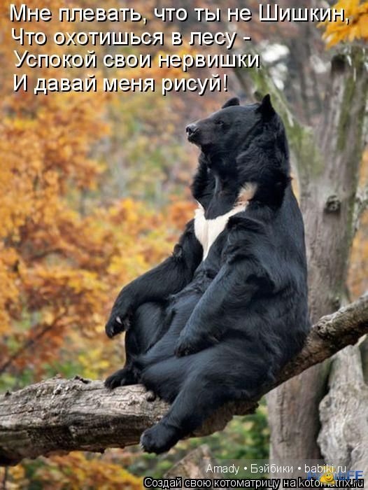 Позитив. Самые добрые и забавные фотографии для поднятия настроения | Бэйбики Позитив. Самые добрые и забавные фотографии для поднятия настроения