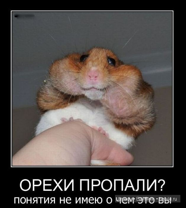 Позитив. Самые добрые и забавные фотографии для поднятия настроения | Бэйбики Позитив. Самые добрые и забавные фотографии для поднятия настроения