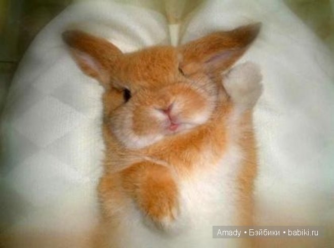 Позитив. Самые добрые и забавные фотографии для поднятия настроения | Бэйбики Позитив. Самые добрые и забавные фотографии для поднятия настроения