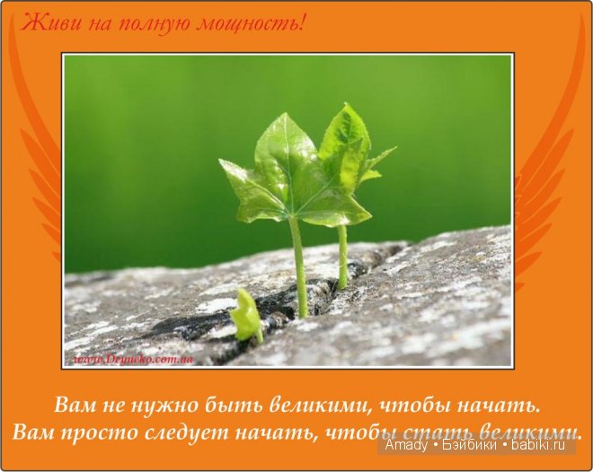 Позитив. Самые добрые и забавные фотографии для поднятия настроения | Бэйбики Позитив. Самые добрые и забавные фотографии для поднятия настроения