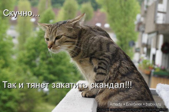 Позитив. Самые добрые и забавные фотографии для поднятия настроения | Бэйбики Позитив. Самые добрые и забавные фотографии для поднятия настроения