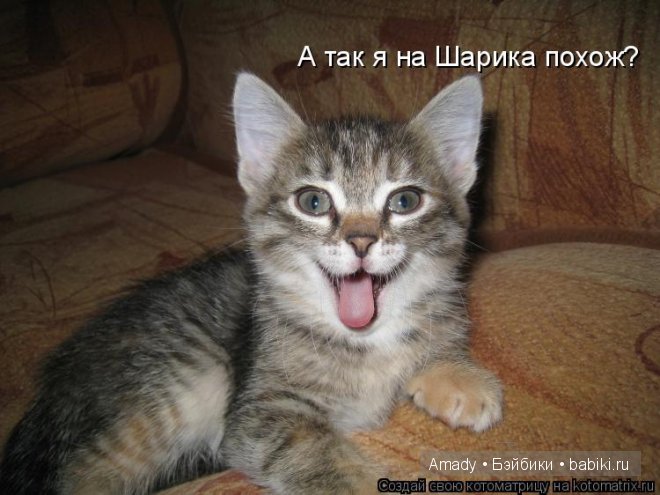 Позитив. Самые добрые и забавные фотографии для поднятия настроения | Бэйбики Позитив. Самые добрые и забавные фотографии для поднятия настроения