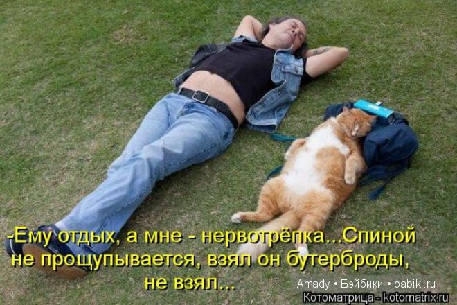 Позитив. Самые добрые и забавные фотографии для поднятия настроения | Бэйбики Позитив. Самые добрые и забавные фотографии для поднятия настроения