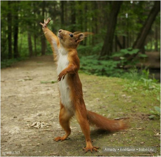 Позитив. Самые добрые и забавные фотографии для поднятия настроения | Бэйбики Позитив. Самые добрые и забавные фотографии для поднятия настроения