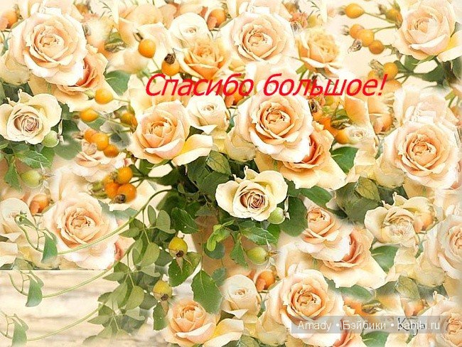 Чудесный боннет от Fasolika - мой приз за конкурс "Наши куклы со своими любимыми игрушками" | Бэйбики Чудесный боннет от Fasolika - мой приз за конкурс "Наши куклы со своими любимыми игрушками"