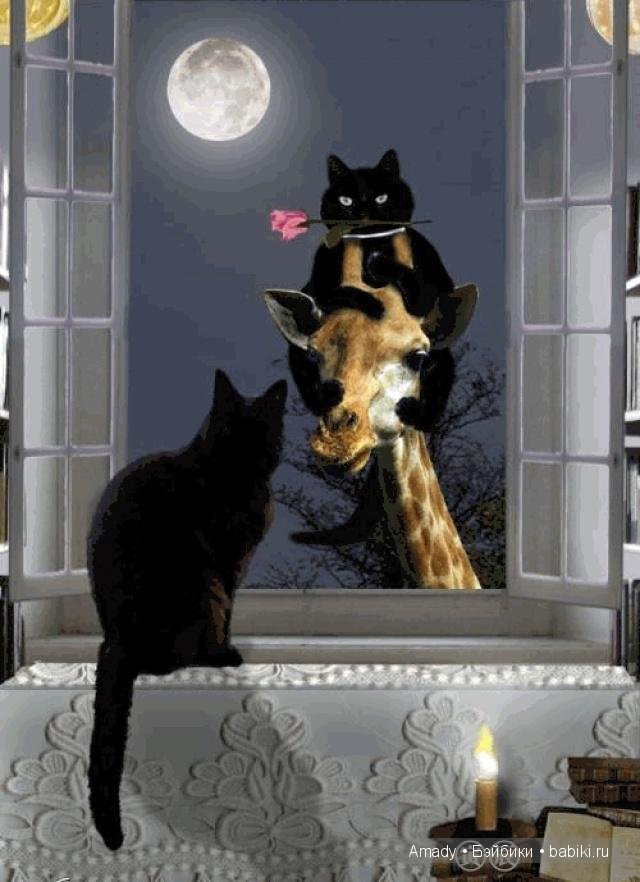 Международный женский день