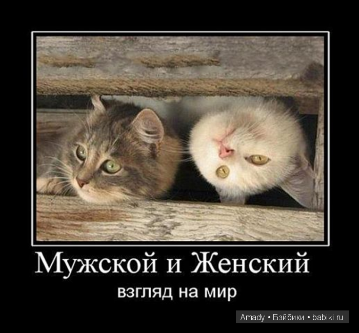 Международный женский день