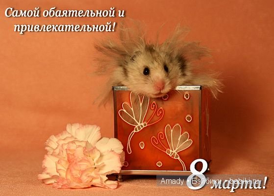 Международный женский день