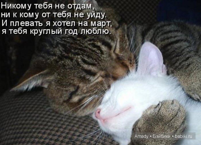 Международный женский день