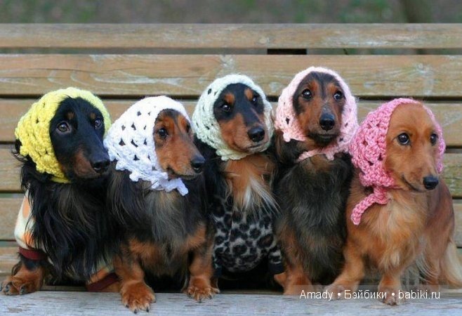 Международный женский день